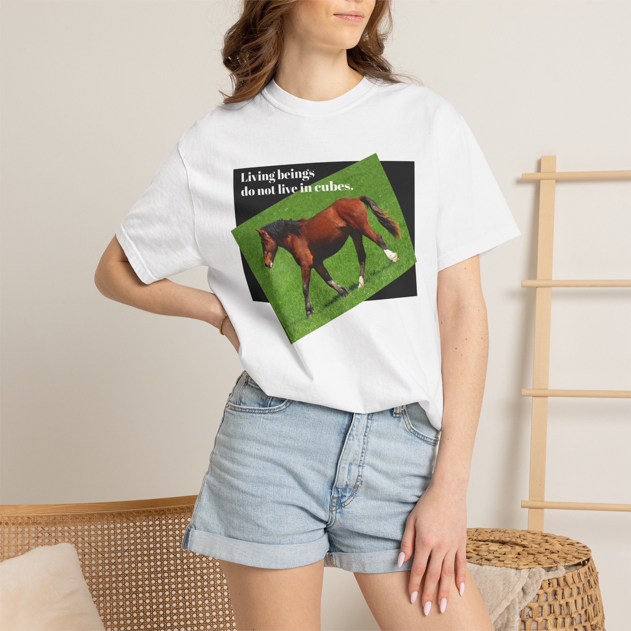 Juan Horse beging Free