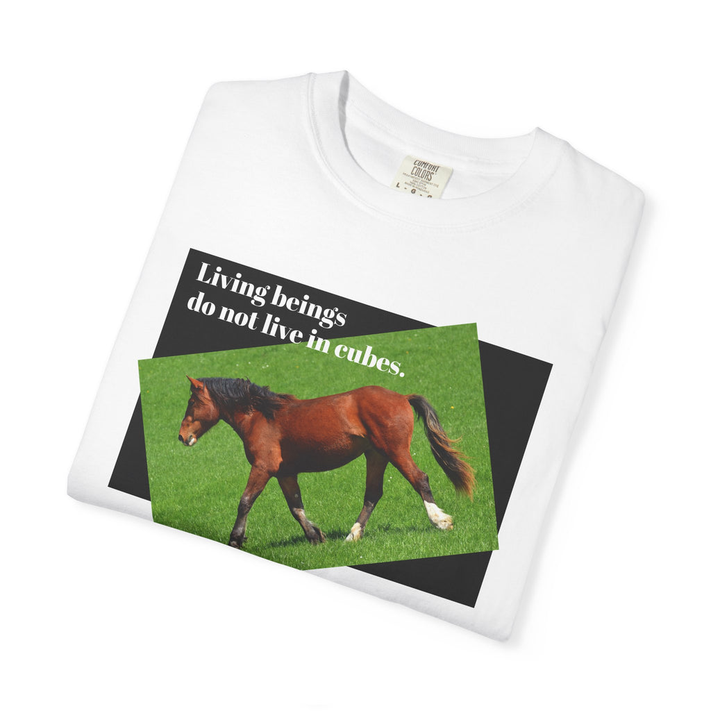 Juan Horse beging Free