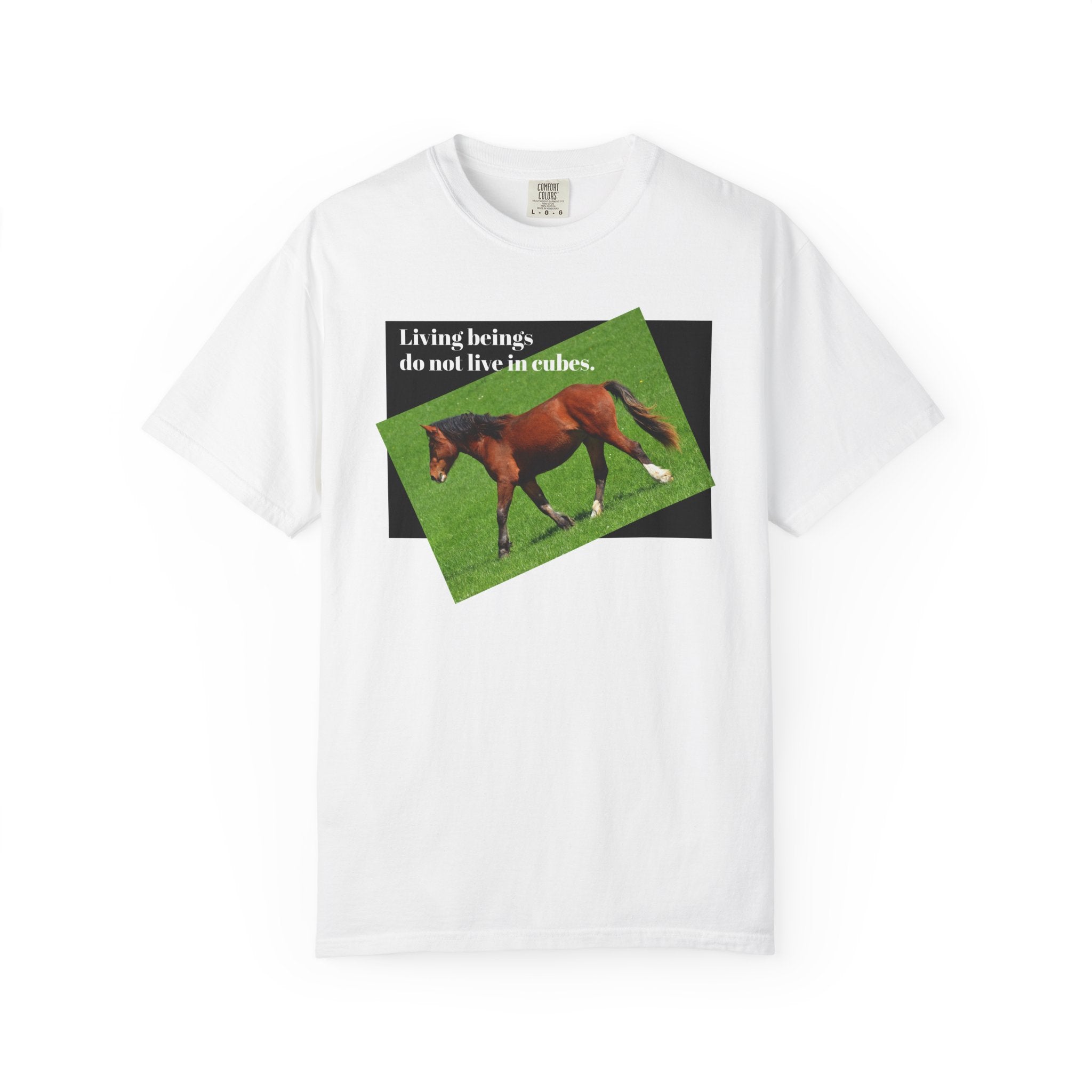Juan Horse beging Free